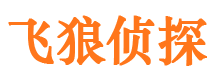 高淳侦探公司